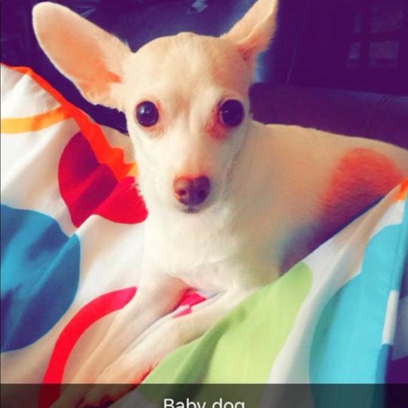 Meet your Posher, Juliany - Picture 1 of 1